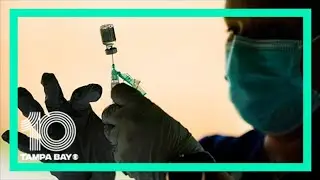 FDA advisory panel debates Pfizer COVID booster shots