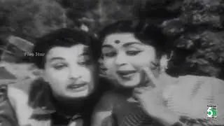 Neethkkupin Paasam Full Movie Video Songs | M.G.R | Saroja Devi