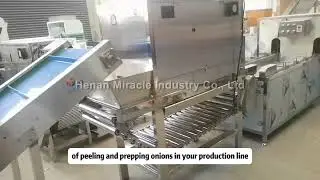 Fully Automatic Onion Peeling and Root Cutting Production Line
