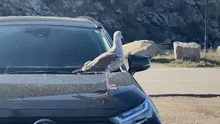 A day in the Life of a Realtor: A couple of showings and relaxation in Morro Bay