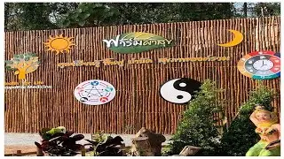 Phasuk Farm: Wellness & Longevity Destination