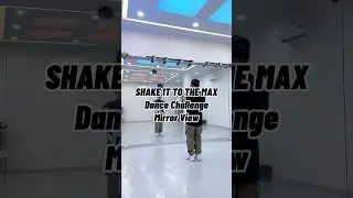 SHAKE IT TO THE MAX Tutorial #shakeittothemax #tiktokdancechallenge