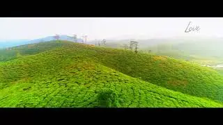 Kerala muslim wedding outdoor 2018-Anas + Naziya