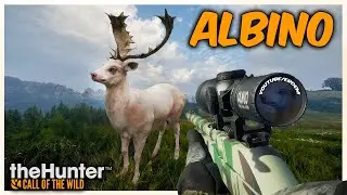 EĞER SEN DE ALBİNO GEYİK AVLAMAK İSTİYORSAN BU BÖLÜMÜ SAKIN KAÇIRMA ! | theHunter: Call of the Wild