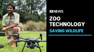 How this zoo is using technology to transform conservation efforts | ABC News
