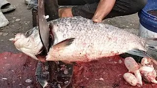 Giant katla fish cutting !!