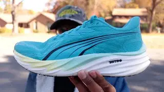 Dark Horse SHOE OF THE YEAR