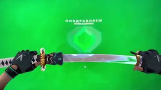 The debut Ascendant