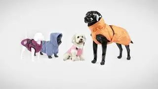 Cotonshoppen.dk - Din webshop med alt hundetilbeh&oslash;r (30 sek.)