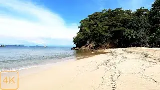 Quiet Island Beach | Turquoise Water, White Sand & Gentle Waves (No Talking)
