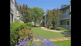 1611 La Esplanada- Santa Rosa Condo for Sale