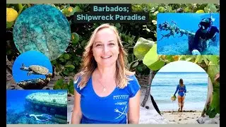 BARBADOS; Shipwreck Paradise for Freedivers!