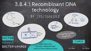 EASY REVISION AQA A-Level Biology 3.8.4.1 Recombinant DNA technology