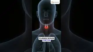 Thyroid Panel test
