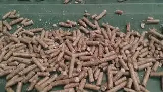 Biomass pellet mill production plant manufacturing Sawdust pellets sugarcane bagasse production