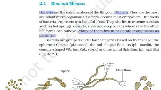 Monera I Biological Classification I Class 11 I Biology I Chapter 2 I Ncert reading I Neet Biology I