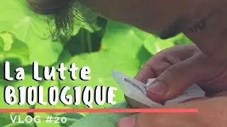 VLOG #20 - PBI - Protéger nos cultures SANS PHYTO ?