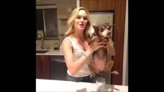 Pet And Animal Vin Compilation 2014   Funny Animals