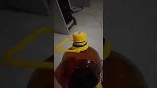 Поющая бутылка