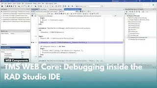 TMS WEB Core: Debugging inside the RAD Studio IDE