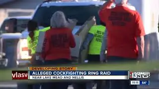4 arrested in North Las Vegas cockfighting raid