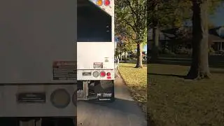 Tree Trimming!! Family Tree Service | Kansas City Missouri | Liberty, Missouri #kansascity #tree