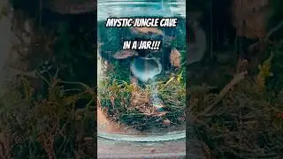 Moss Jungle Jar #jungle #moss #diy