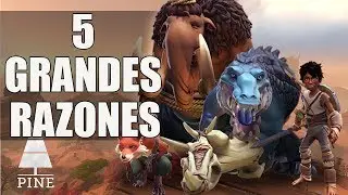 5 GRANDES RAZONES para QUERER JUGAR PINE - Pine Espa&ntilde;ol -