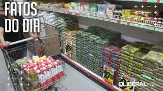 &Oacute;leo, arroz e feij&atilde;o pesaram na cesta b&aacute;sica paraense em janeiro, diz Dieese