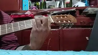 Volver a salavina chacarera cover D.D 👍
