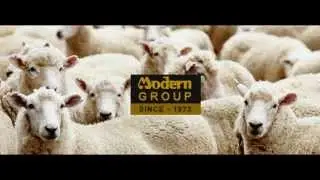 Modern Woollens Bhilwara Plant