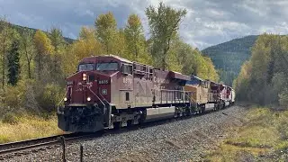 UP 2598 on 368!! CP 8875 Leads CP 368 (Grain Empty) East Near Tochy BC, CP Cranbrook Subdivision