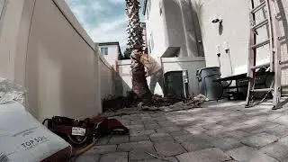 HOW TO SKIN A MEXICAN FAN PALM TREE/WASHINGTONIA ROBUSTA