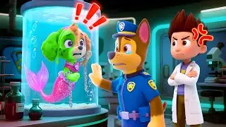 The Mermaid Zombie SKYE Has Been Captured! What Happened? | Paw Patrol 3D Animation | Rainbow 3