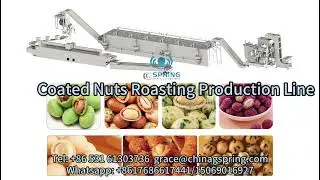professional manufacturer dry roasted peanuts coating#dry roasted peanuts coating