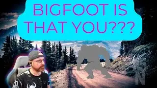 MrBallen | Top 3 SCARIEST stalkers in the wild | Missing 411 (Part 17) (Reaction)