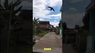 Garut via Cipaku Majalaya via desa dano