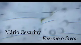 M&aacute;rio Cesariny | Faz-me o favor