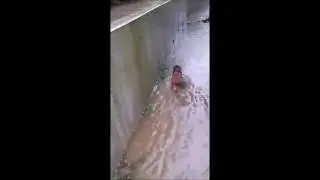 Ber&szlig;el Hochwasser 2017