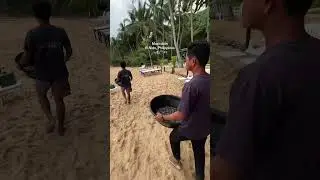 🐢 ARNAQUE EN THA&Iuml;LANDE : Ces Tortues 