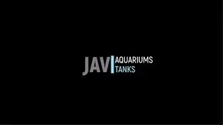 Fish Room Update 2019