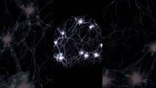 Largest Celestial Bodies | Space Facts Ep.2