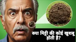 5 Random Facts in Hindi | Amazing Facts That Will Blow Your Mind 🤯