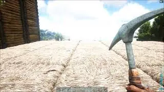 Picvajz