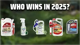 The Top 5 Best Spider Spray in 2025 - Must Watch Before Buying!