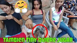 Ahora si! Que comience el juego del elefante blanco atrévete🙄 Parte 11