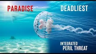 Box Jellyfish: World's Deadliest Sea Creature | Venom, Stings, Facts & How to Survive (2025 Guide)