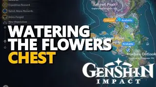 Watering the flowers Chest Genshin Impact