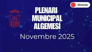 Plenari novembre 2025