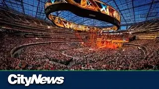 Business Report: WWE and UFC merging